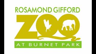 Rosamond Gifford Zoo Full Tour 2024 [upl. by Audly535]