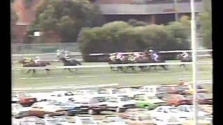 1986 Cox Plate Bill Collins version [upl. by Blandina]