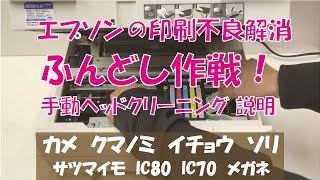 印字不良解消！手動ヘッドクリーニング（ふんどし作戦）の方法 エプソン、カメ、さつまいも、クマノミ、イチョウ、ソリ、メガネ、IC80、IC70、ヨット など [upl. by Arihppas205]