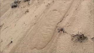 Grain flow in dry eolian sand [upl. by Eniamraj865]