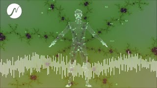 LymphsystemDetox Entfernung von Abfallstoffen und Giftstoffen aus dem Körper neowake® [upl. by Neely]