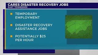 Northeast Tennesseans can make 25 per hour working storm recovery jobs [upl. by Akira]