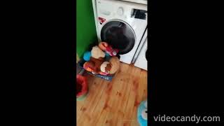 VID HIDQIN LAUNDRY OK [upl. by Nurav523]