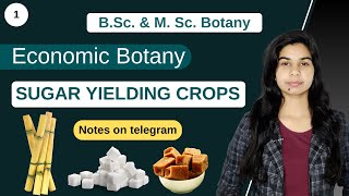 Economic Botany  SUGAR YIELDING CROPS  Botany  B Sc amp M Sc [upl. by Aicyle803]