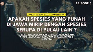 Apakah Spesies yang Punah di Jawa Mirip atau Beda dengan Spesies Serupa di Sumatra dan Kalimantan [upl. by Syned227]