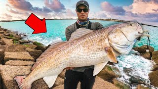 Fishing for ManSized Fish from Land  Jetty Fishing for the Biggest Fish [upl. by Assyram141]