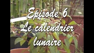 Plantes EP6  Le calendrier lunaire [upl. by Camilo390]