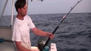 tuna fishing charter fishing tuna charters Grand Isle Louisianawmv [upl. by Ahsenod468]