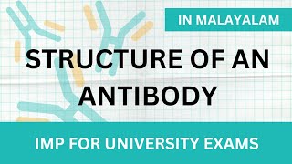 Structure of an Antibody in Malayalam  Learn In [upl. by Belldame290]