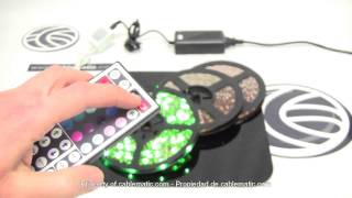 Kit de tira de LEDs flexible 65 lmled 60 ledm de 5m IP65 RGB distribuido por CABLEMATIC ® [upl. by Brit]