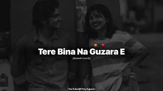 Tere Bina Na Guzara Ae  Josh Brar ft Kinza Hashmi  Perfectly SlowedReverb Song joshbrar [upl. by Aelc]