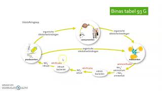 83 Stikstofkringloop [upl. by Mackey]