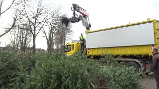 Kerstbomen inleveren [upl. by Parette]