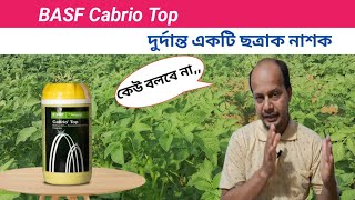 BASF Cabrio Top ছত্রাক নাশক  Metiram 55Pyraclostrobin 5 wg [upl. by Anairdna]