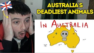 Reaction To AUSTRALIAS DEADLIEST ANIMALS SONG [upl. by Aicilev]