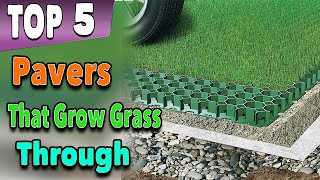 Best Pavers That Allow Grass To Grow Through [upl. by Valle]