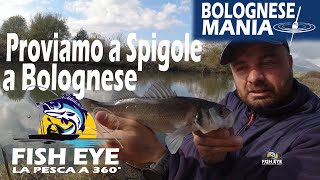 Pesca a bolognese  Proviamo in foce [upl. by Euqenimod]