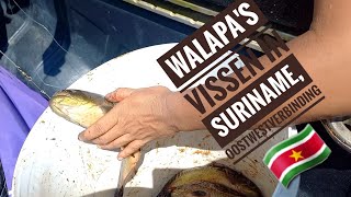 deel2 part2 vissen aan de Oostwestverbinding in Suriname fishing in Suriname [upl. by Zeb]