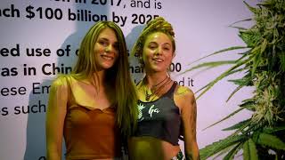 The Cannabis Expo  South Africa [upl. by Bruning]