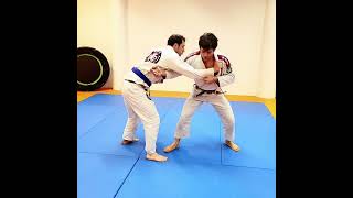 Seoi Otoshi Judowurf Judo Wurf [upl. by Cherye148]