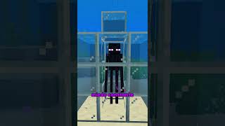 Cómo torturar a un enderman en Minecraft 🤫 [upl. by Ateikan]