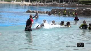 Dolphin Bay Atlantis in Super Slow MotionSony RX100IV [upl. by Ahsemrak]