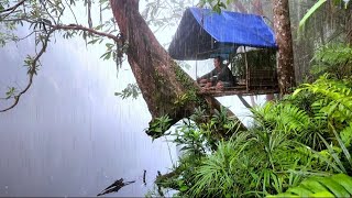 Solo Camping Hujan Deras rumah pohon di tepi Sungai [upl. by Rotce]