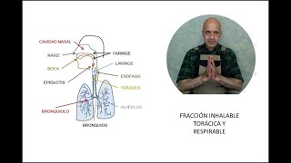 Fracción Inhalable Torácica y Respirable [upl. by Natalya]