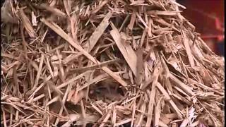 Spaleck Screening Materialssoil wood waste [upl. by Benyamin]