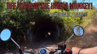 OFF ROADING THE HONDA MONKEY [upl. by Hpsoj105]