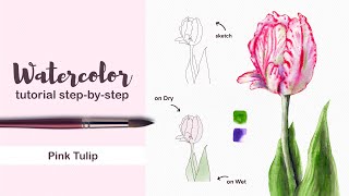 WATERCOLOR pink tulip StepbyStep  Watercolor Tutorial [upl. by Ransom]