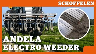 Andela Electro Weeder bedrijfsklaar [upl. by Strep656]