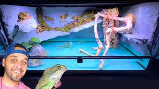 BUILDING a WATER DRAGON Enclosure DIY Paludarium Paradise [upl. by Ahilam]