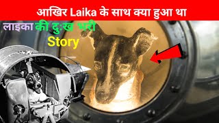 आखिर क्या हुआ था इस कुत्ते के साथ Story of Laika laikadog [upl. by Bowman]