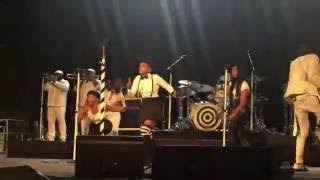 Janelle Monáe Live  Tightrope  SummerStage 2016 [upl. by Ahsoek]