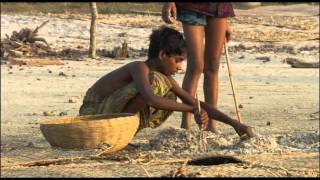 GANGES or GANGA  FLOWING INTO SUNDARBANS [upl. by Haikezeh89]