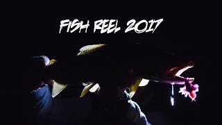 FISH REEL 2017  Fly Fishing Cinema Reel Video [upl. by Belak]