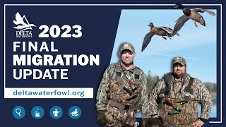 Final 2023 Migration Update  Delta Waterfowl [upl. by Hoi]