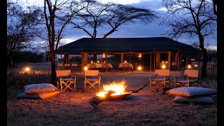 Olakira Camp  Tanzania Safari [upl. by Anahsak]