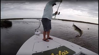 Challenge Catching fish with a PVC pipe [upl. by Enahc]