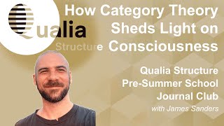 Qualia Structure PreSummer School Journal Club  by James Sanders on Taguchi amp Saigo 2023 [upl. by Atileda945]