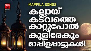 Mappilapattukal  Mappila Pattukal Malayalam  Malayalam Mappila Songs  Old Mappilappattukal [upl. by Laris]