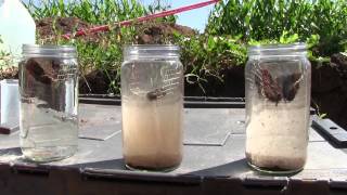 Soil Aggregation and Water Infiltration [upl. by Linn]