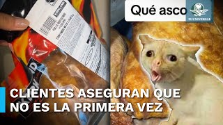 Mujer compra pollo rostizado en Costco y se lleva asquerosa sorpresa [upl. by Dorolice]