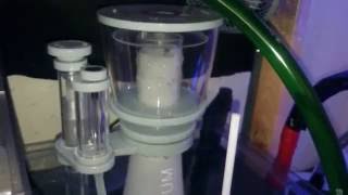 Nyos Quantum 300 Protein Skimmer Reviewed [upl. by Forsta]