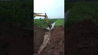 Process Of Draining Flooded Farmland [upl. by Takashi]