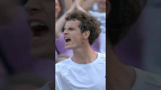 Madness from Murray 🤯🔥😮 Wimbledon Shorts Tennis [upl. by Hannibal984]