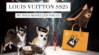 🐶 LOUIS VUITTON DOG COLLECTION  MENS SS25 REVIEW [upl. by Cohl]