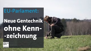 EUParlament Neue Gentechnik ohne Kennzeichnung  BR24 [upl. by Warp]