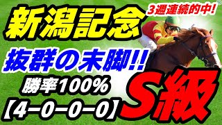 【 新潟記念2024 】今週も自信あり！勝率100％！（4000） [upl. by Yklam]